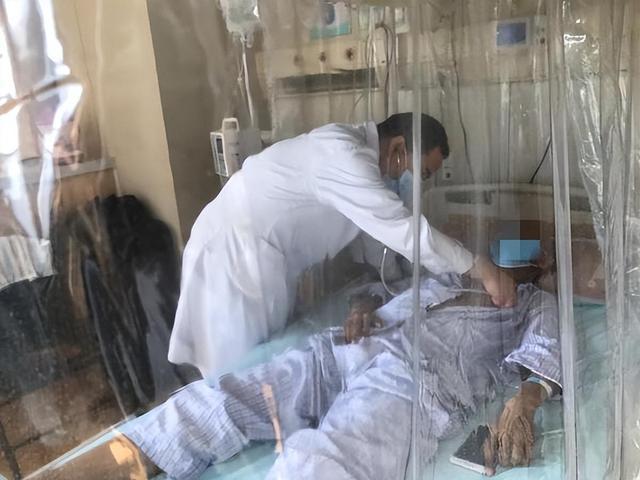 九游娱乐平台：回顾：上交大研究生放弃治疗捐献遗体研究骗奶奶说我出国留学了(图7)