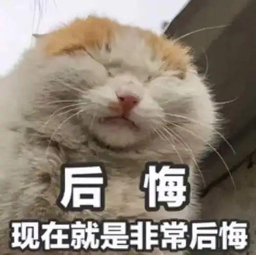 九游娱乐：出国读文科是死罪(图5)