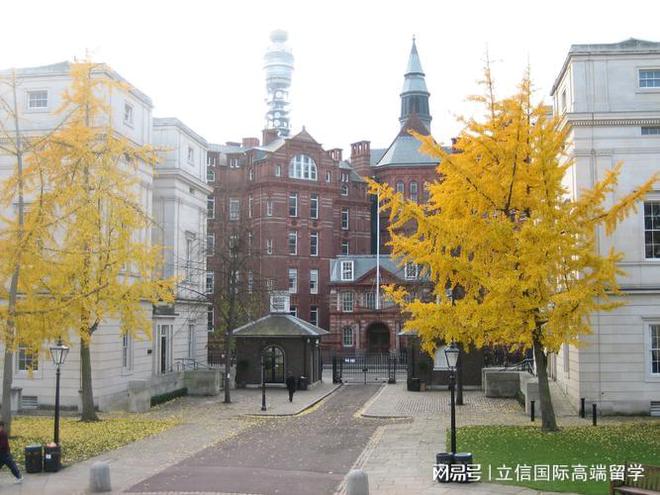 九游娱乐网站：国内留给留学生的市场越来越小了？物还能以稀为贵吗？(图10)