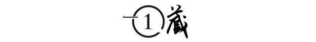 九游娱乐：回顾“北大才女”田晓菲：19岁出国留学留美嫁53岁导师现状如何(图3)