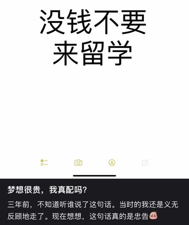 九游娱乐平台：“美国留学一年100万正常吗？”(图2)