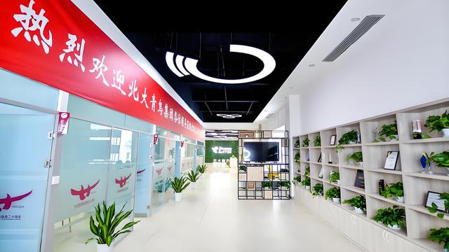 九游娱乐平台：北京青鸟培训机构哪家是正规的(图2)