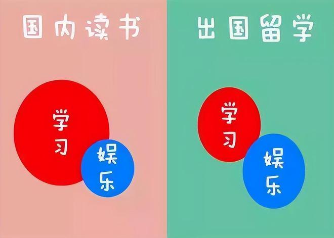 九游娱乐网站：出国留学对个人发展有哪些好处和坏处(图5)