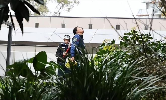 九游娱乐：悉尼大学21岁留学生被男友杀害更多情况曝光不排除为暴力事件(图4)