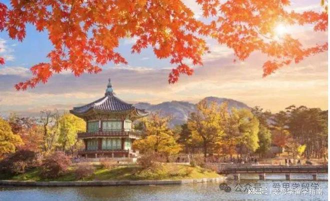 九游娱乐平台：留学国家必看！热门国家留学费用大概要多少呢？附利弊分析(图9)