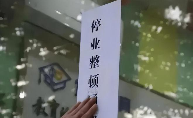 九游娱乐：教培放开了？发文“激发教育和培训消费”教育专家给出解释(图5)