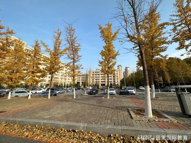 九游娱乐：艺术留学抢跑！低分留学怎么选？大连大学2+2国际本科插班读！(图3)