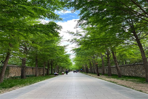 九游娱乐平台：出国留学服务平台(图51)