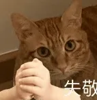 九游娱乐：步行街的家常事]目前的形势下读研是在国内还是出国留学更好？(图9)