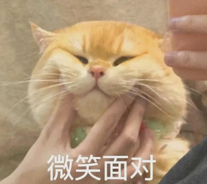 九游娱乐平台：大聪明学生吃信息差的甜和学习红利都吃撑了(图4)