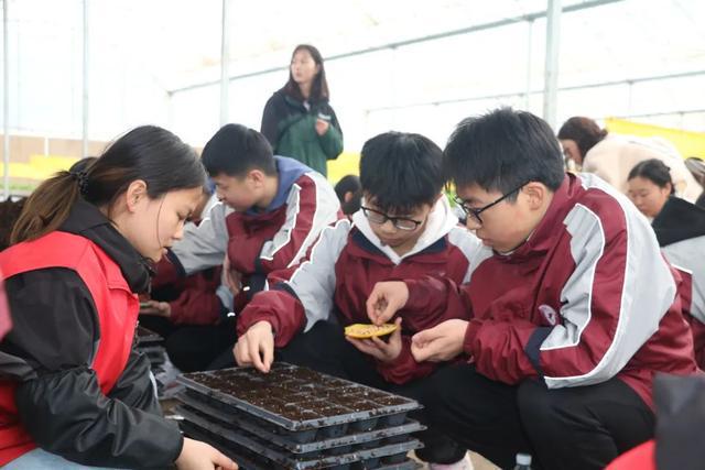 九游娱乐网站：走进现代农业感受劳动魅力——遂宁四中开展劳动教育推进工作纪实(图3)