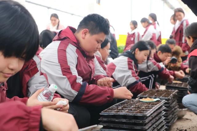 九游娱乐网站：走进现代农业感受劳动魅力——遂宁四中开展劳动教育推进工作纪实(图4)