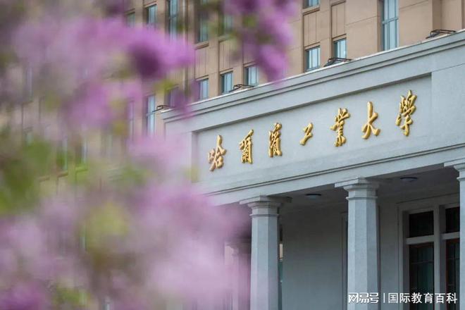 九游娱乐网站：高三留学新西兰的捷径：大学预科与1+3中外合办申请条件一览！(图3)