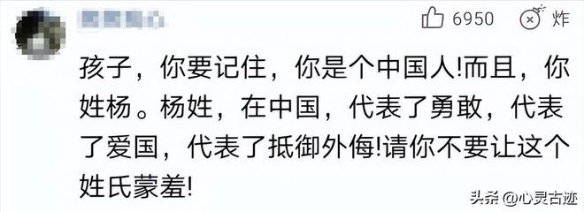 九游娱乐：称赞美国空气香甜的杨舒平被骂惨后霉运不断回国下场凄惨无比(图27)
