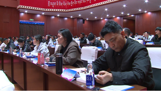 九游娱乐网站：林芝市2025年重点项目建设管理工作培训班开班(图1)