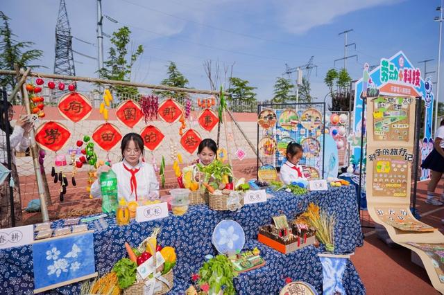 九游娱乐平台：劳动让孩子拥有幸福生活的能力——合肥新站区中小学劳动教育成果展圆满举行(图11)