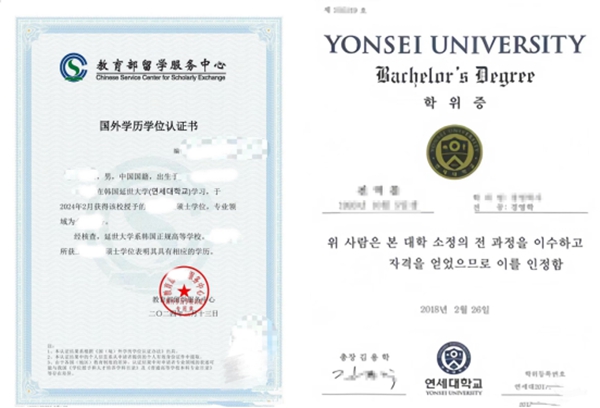 九游娱乐网站：2025年春季延世大学全球地域学中韩双语授课硕士申请指南(图3)