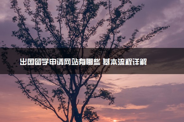九游娱乐：出国留学申请网站有哪些基本流程详解(图1)