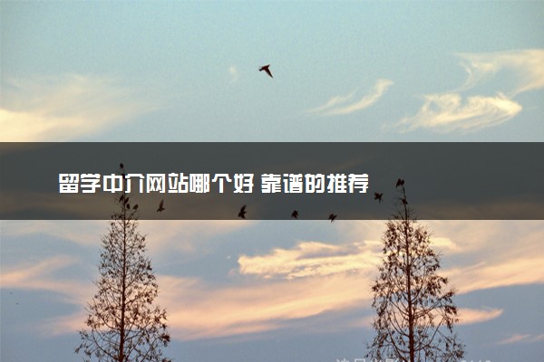 九游娱乐：留学中介网站哪个好靠谱的推荐(图1)