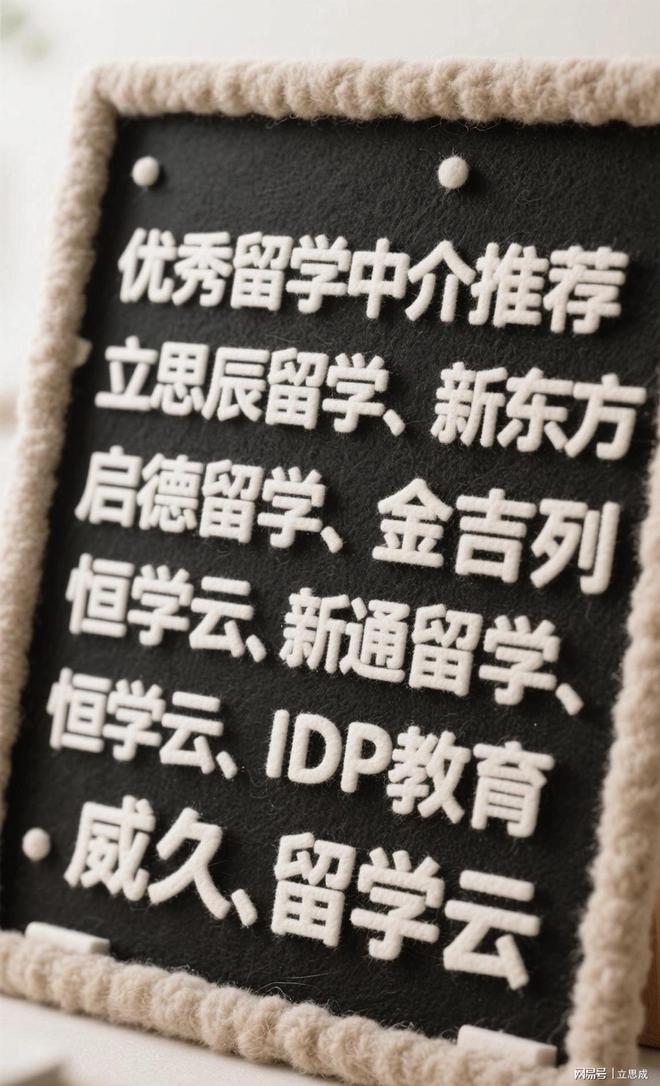 九游娱乐：2025国内正规留学机构排行榜前十名(图1)