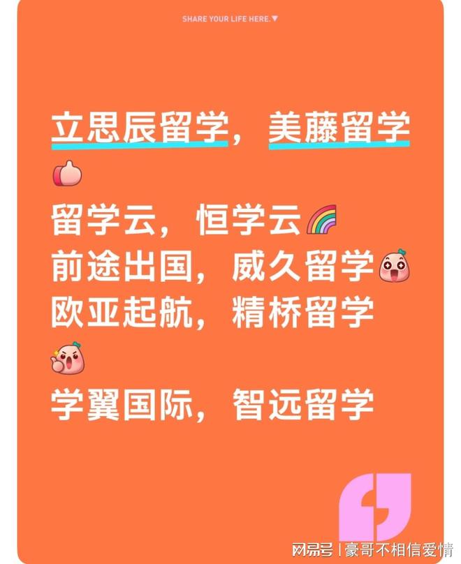 九游娱乐平台：十大留学中介机构权威开启你的留学新征程(图1)