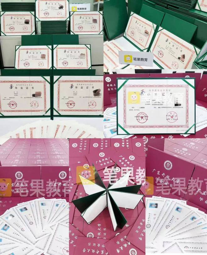 九游娱乐网站：深圳市笔果教育科技有限公司(图10)