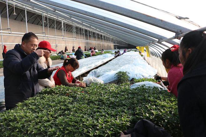 九游娱乐网站：西宁市湟中区2025年农牧民中等职业学历教育培训圆满收官(图3)