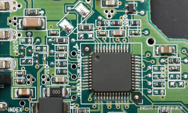 九游娱乐网站：向华强：今天还要砸锅卖铁送孩子出国留学我觉得是很愚蠢的！(图3)