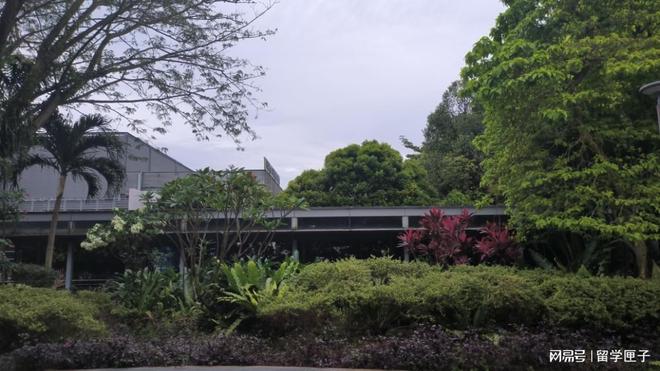 九游娱乐平台：2025深圳市出国留学机构比较好的有哪些(图2)