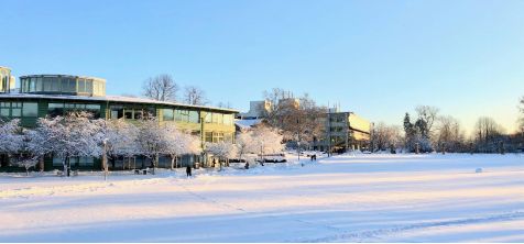 九游娱乐：北欧留学申请必看！学长学姐带你解锁斯德哥尔摩大学真实留学体验助你奔赴理想学府(图4)