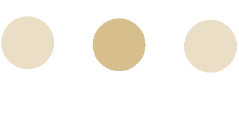 九游娱乐：北欧留学申请必看！学长学姐带你解锁斯德哥尔摩大学真实留学体验助你奔赴理想学府(图11)