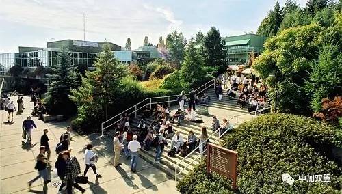 九游娱乐平台：教育部发出留学预警！留学加拿大要注意了(图4)