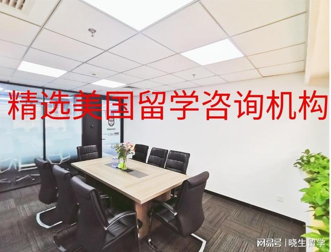 九游娱乐：精选美国留学咨询机构精准匹配需求助力名校申请(图1)