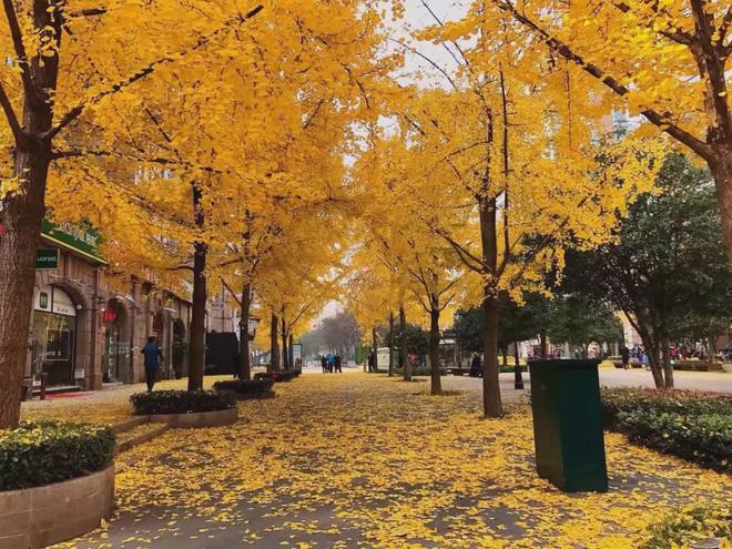 九游娱乐网站：天赋贵地古北中央萃售楼处发布：古北中央萃三区交汇盛境！(图10)