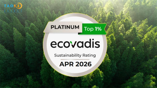 九游娱乐网站：中国新能源企业登顶EcoVadis铂金评级ESG实践再获新突破(图1)